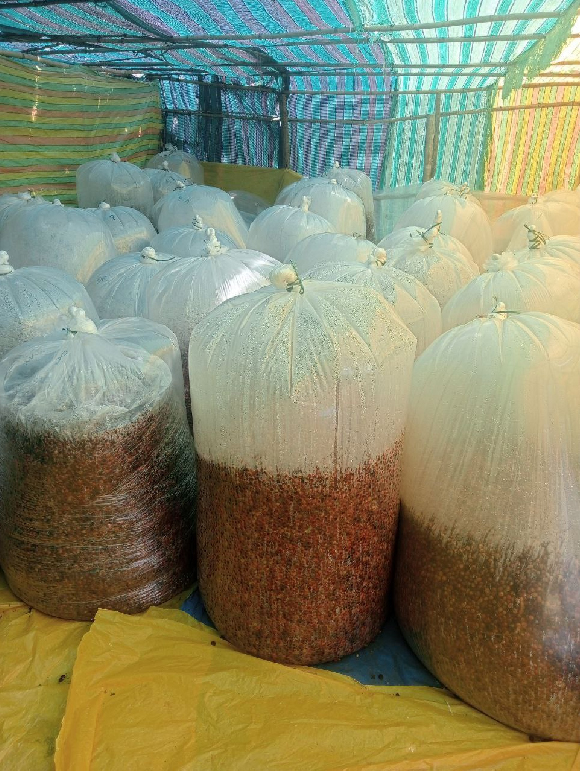 photo 2025 10 26 09 30 34 (2) 01