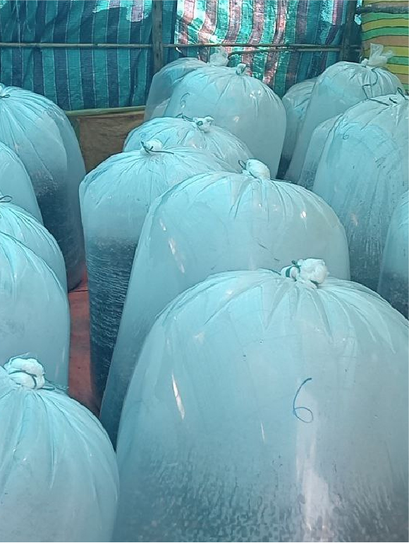 photo 2025 10 26 09 30 34 (2) 01