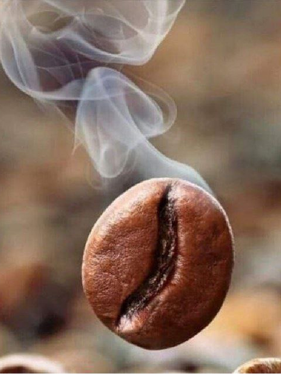 photo 2025 10 26 09 30 34 (2) 01