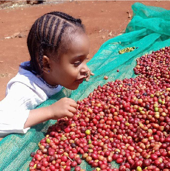 photo 2025 10 26 09 30 34 (2) 01