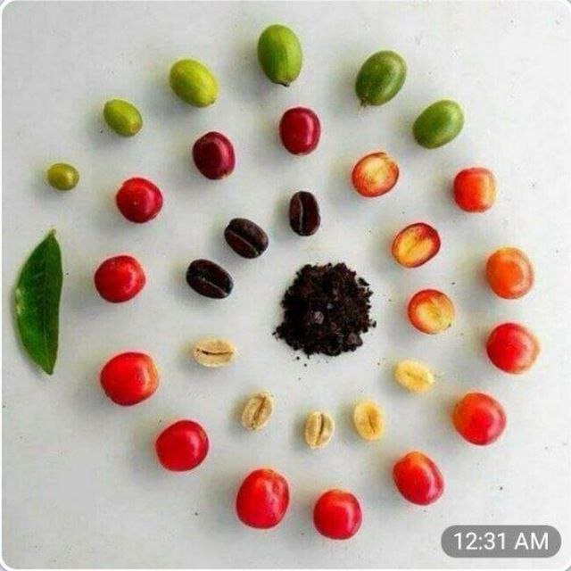 photo 2025 10 26 09 31 03