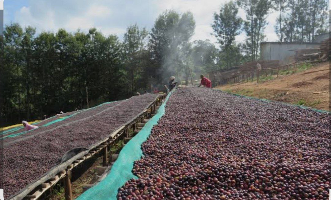 photo 2025 10 27 18 34 53