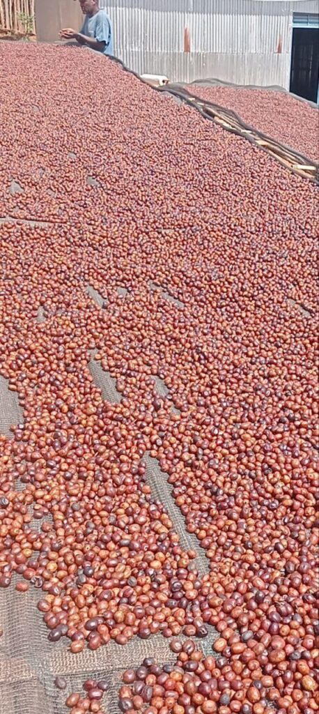 photo 2025 10 28 08 48 19