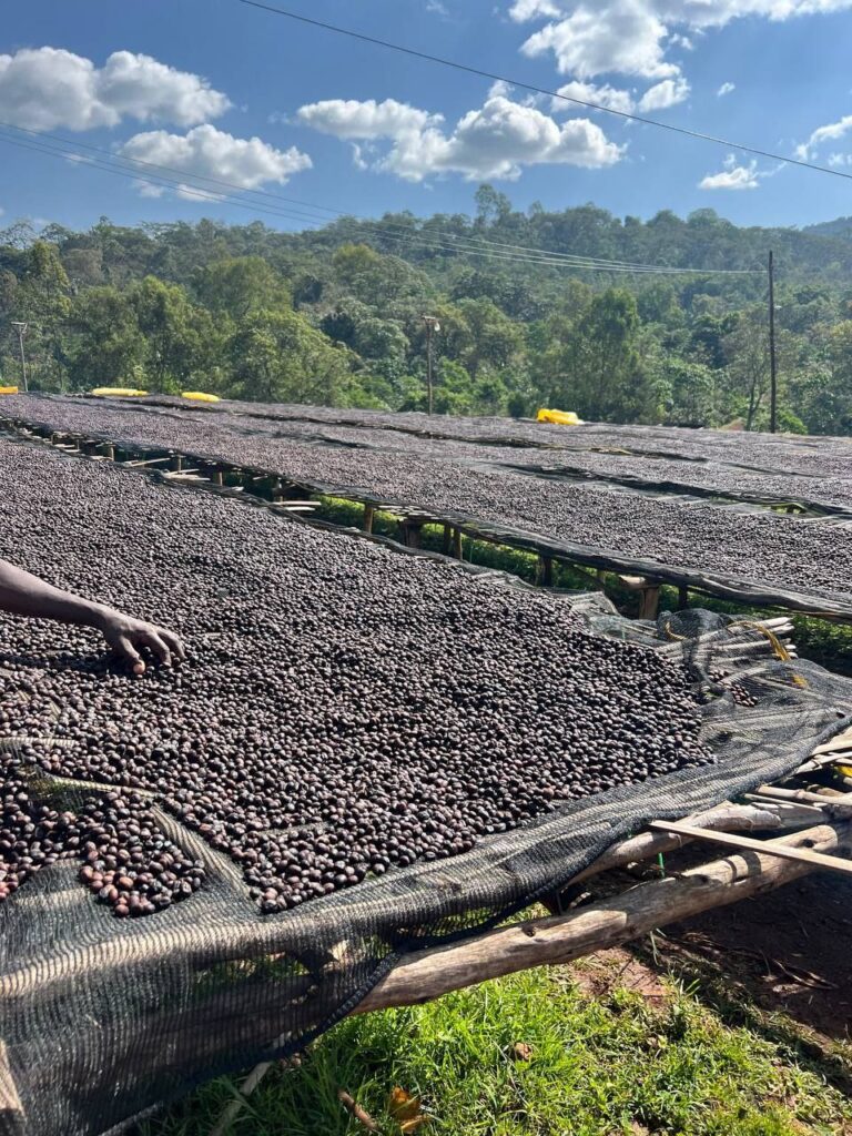 photo 2025 10 28 12 36 08 (4)