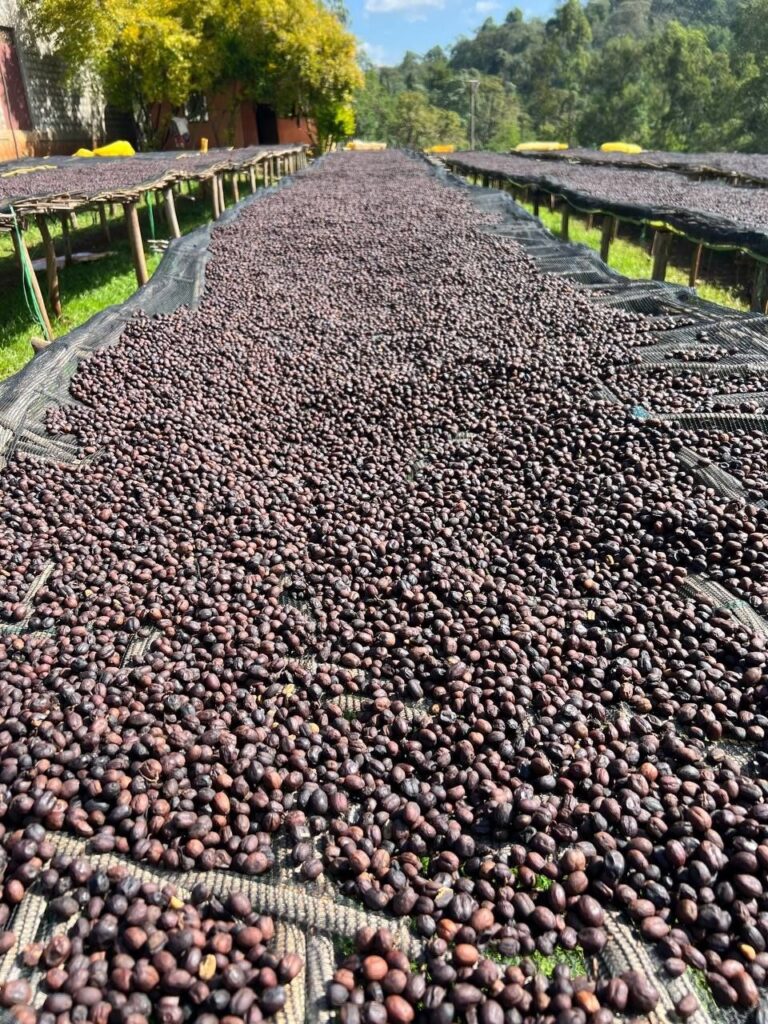 photo 2025 10 28 12 36 08 (5)