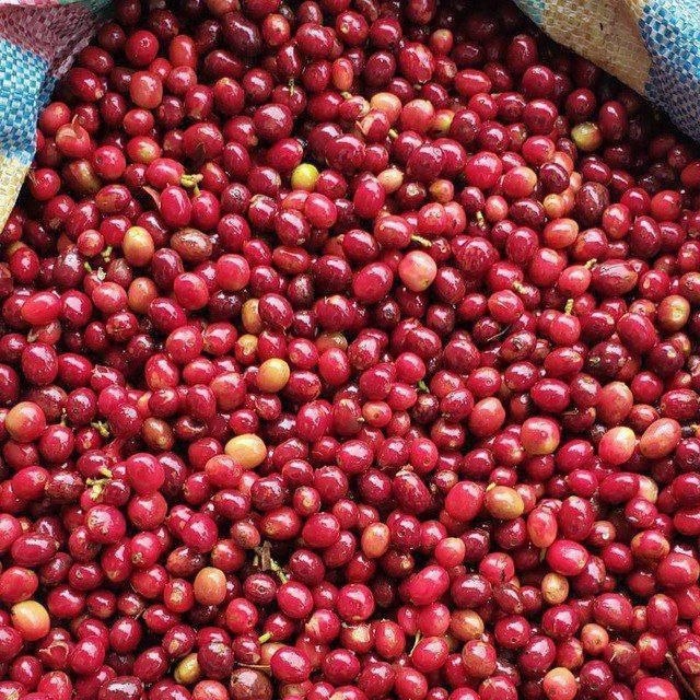 photo 2025 10 28 12 36 09 (2)